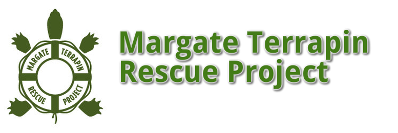 Margate Terrapin Rescue Project